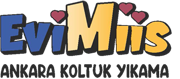 EviMiis Buharlı Koltuk Yıkama